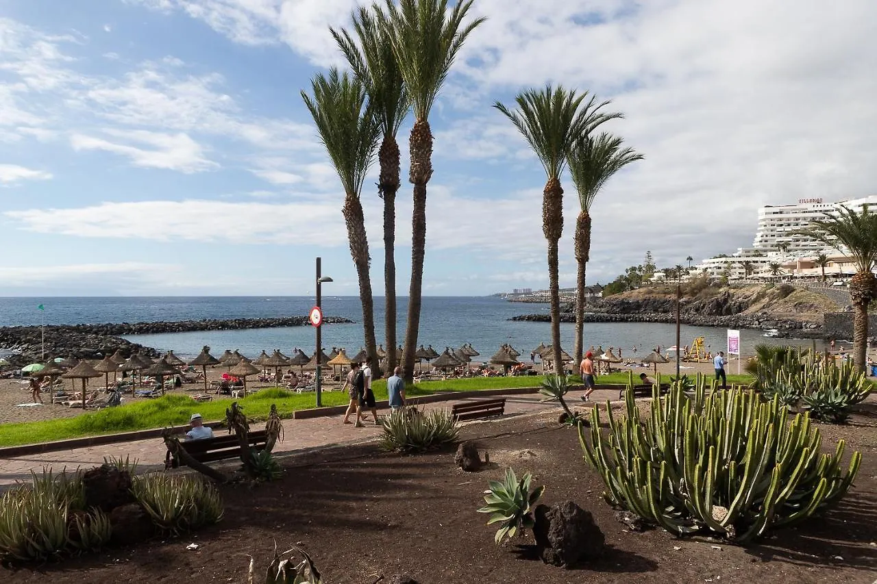 شقة Detached 3-Story Home, Seafront And Central بلايا ذي لاس أميريكاس