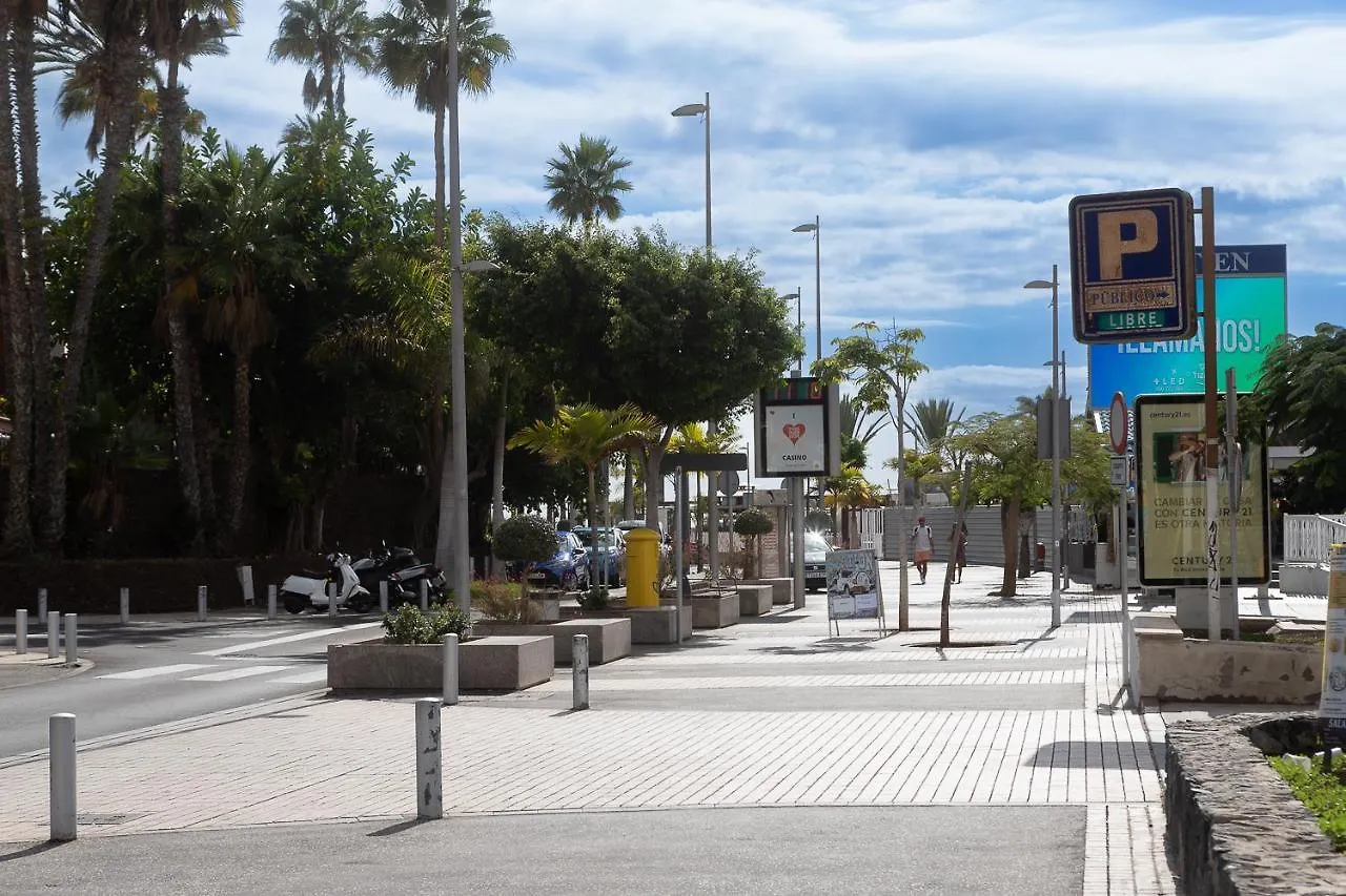شقة Detached 3-Story Home, Seafront And Central بلايا ذي لاس أميريكاس